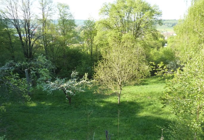 Bild 14