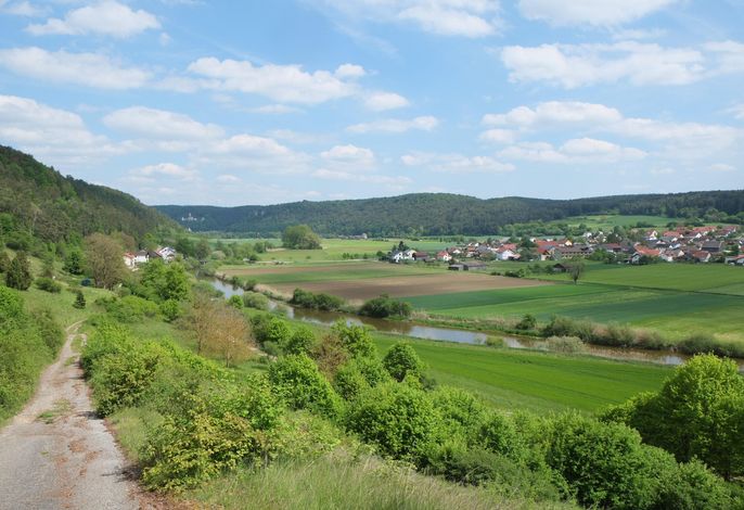 Bild 51