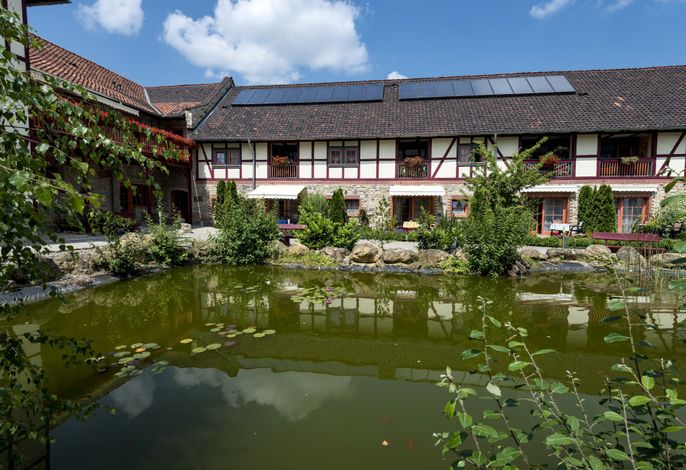 Bild 12