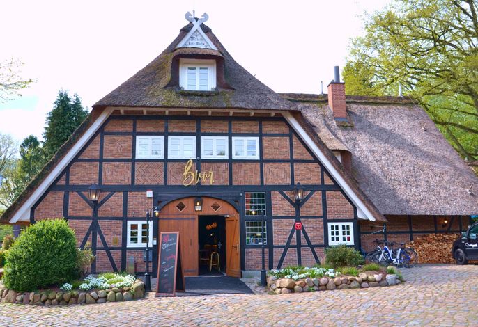Bild 16