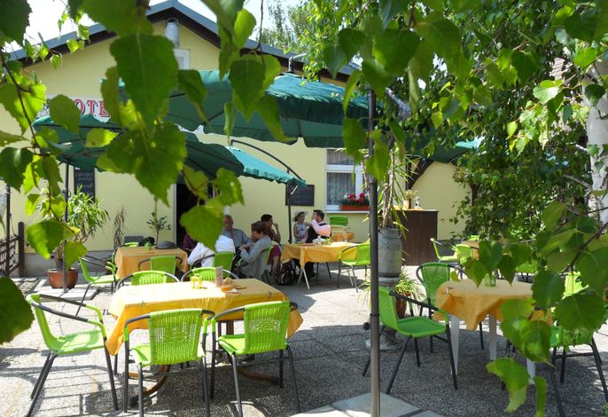 Bild 45