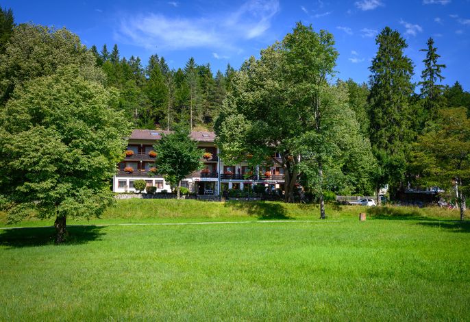 Bild 12