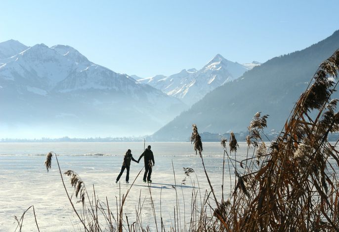 Bild 73