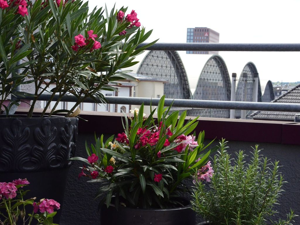 Tante ALMA Hotel Bristol