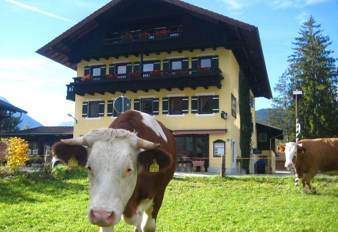 Bild 33