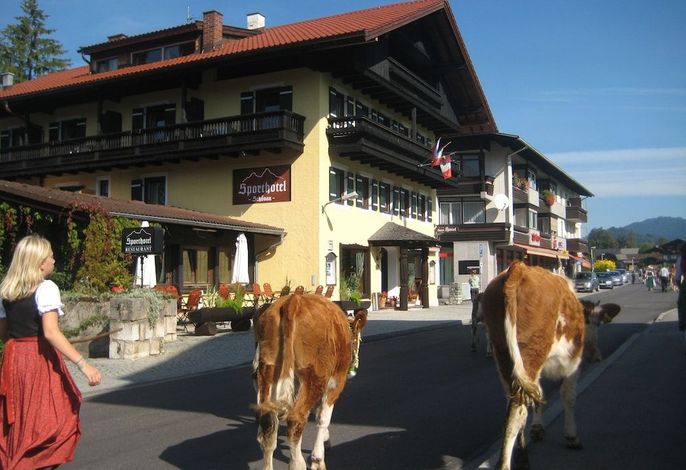 Bild 14