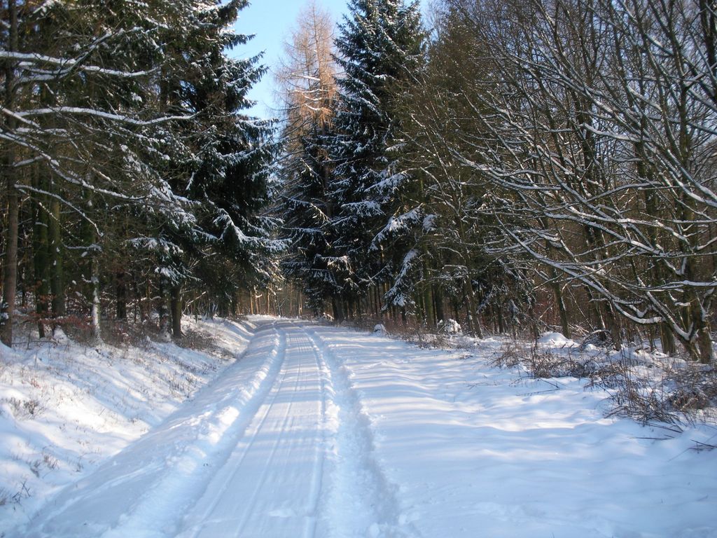 Tannenhof