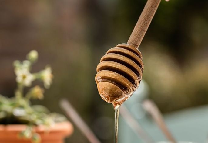 Bild 187