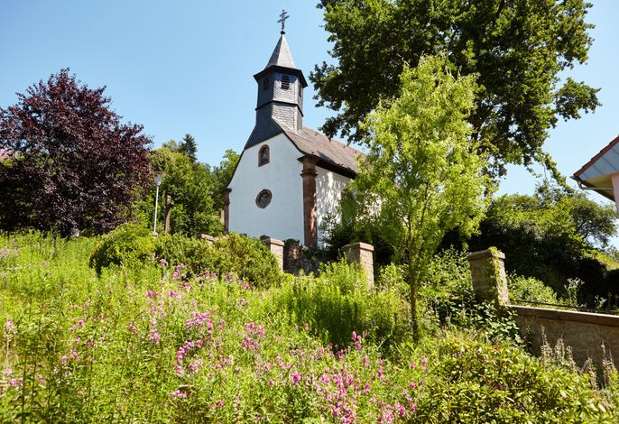 Bild 7