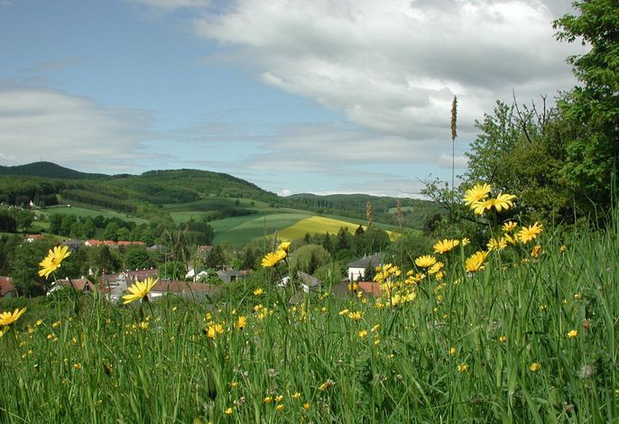 Bild 17