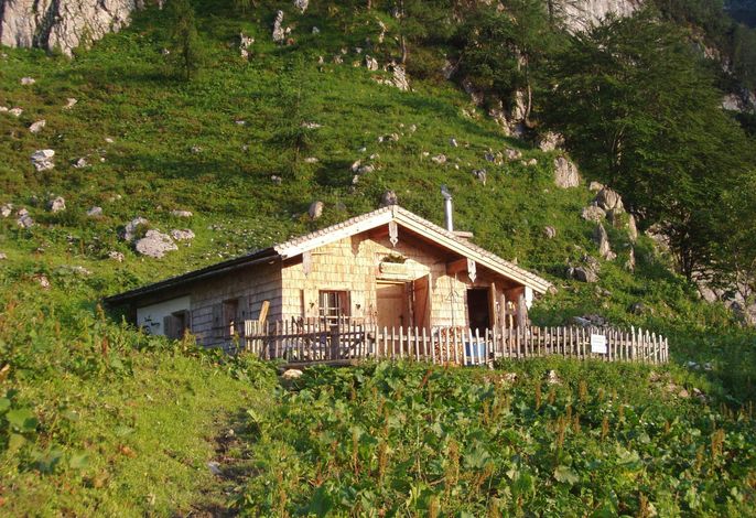 Bild 36