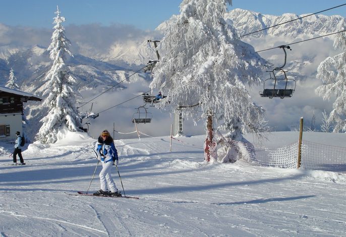 Bild 16