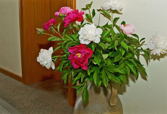 Bild 19