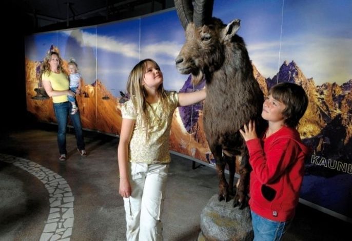 Bild 13