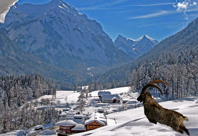 Bild 4