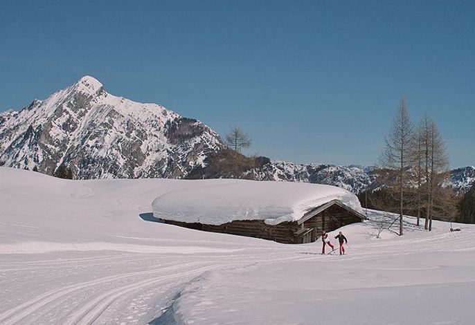 Bild 15