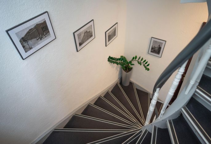 Bild 50