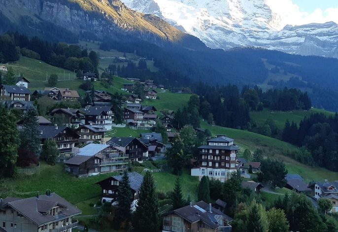 Bild 65