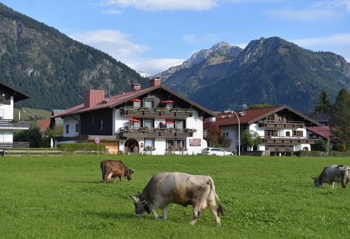 Bild 37
