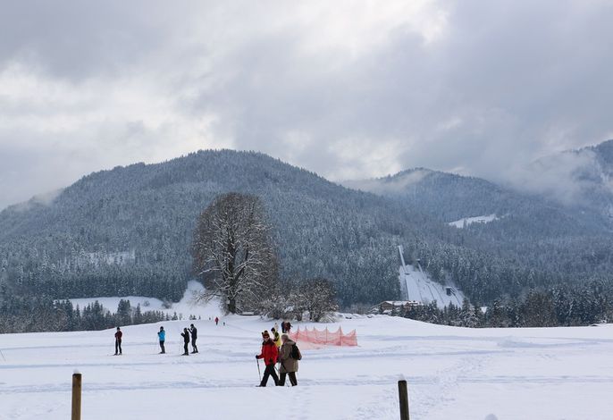 Bild 19