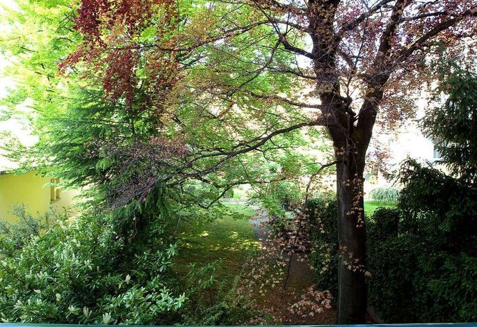 Bild 23