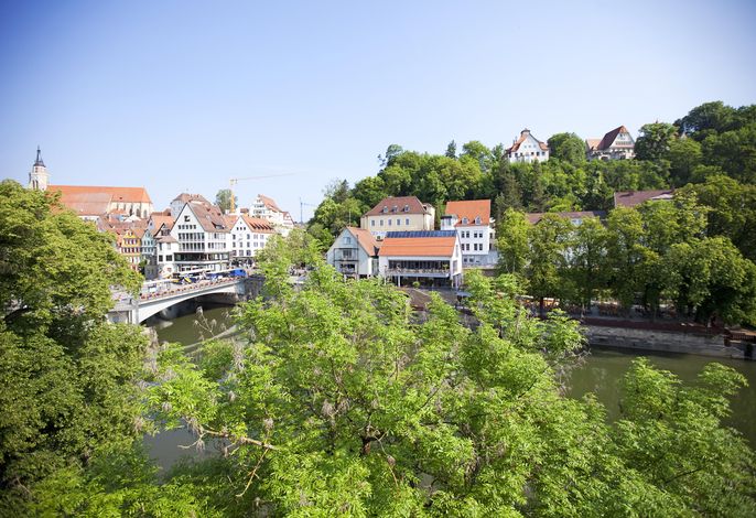Bild 15