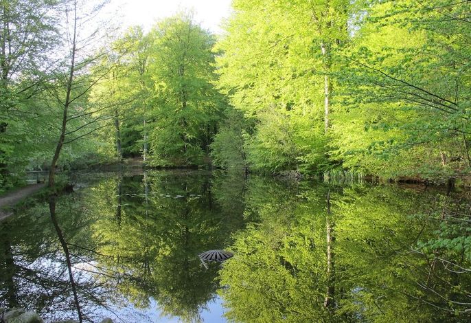Bild 19