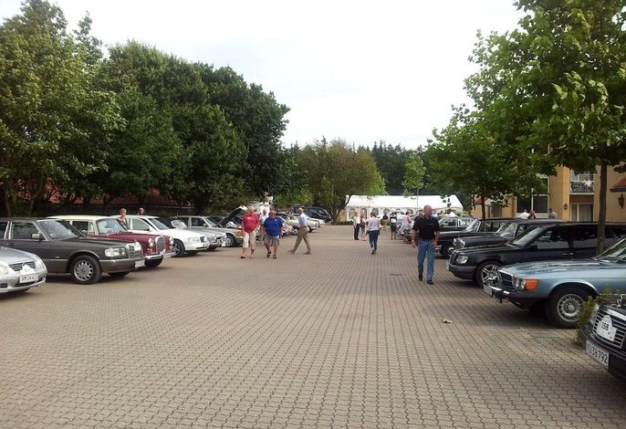 Bild 31