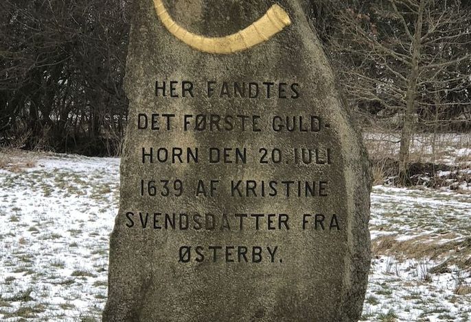Bild 41