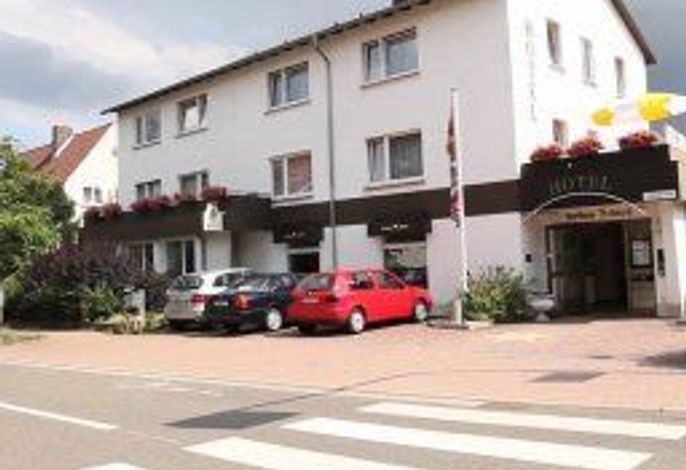 Birkenstern