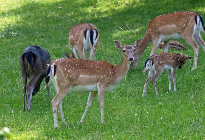 Bild 9