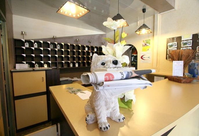 Bild 9