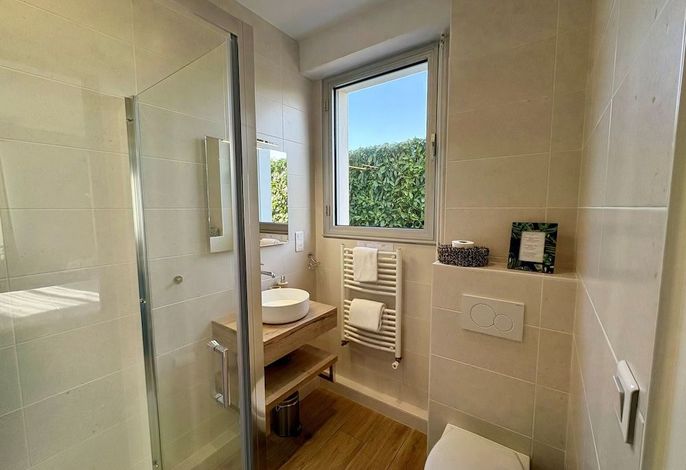 Bild 41