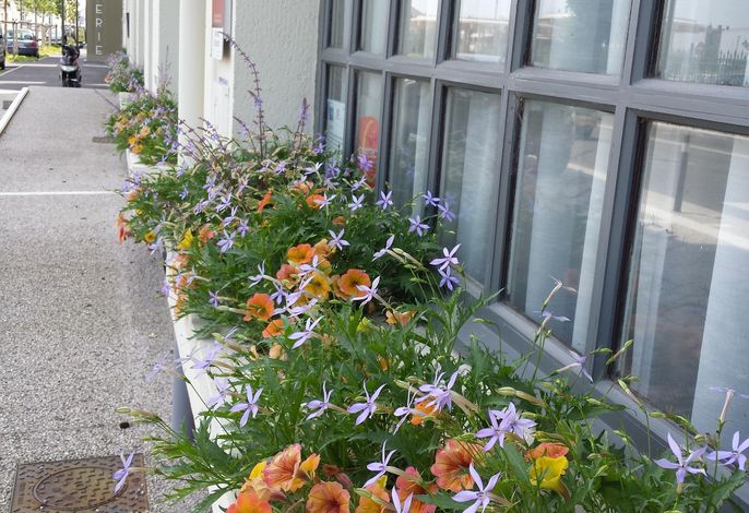 Bild 12