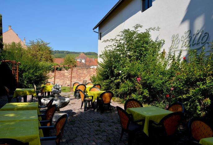 Bild 15