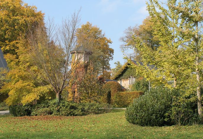 Bild 20