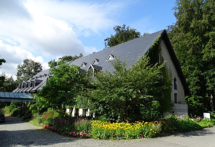 Bild 19