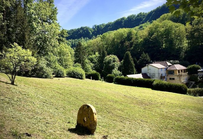 Bild 50