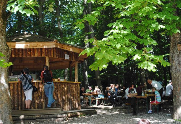 Bild 15