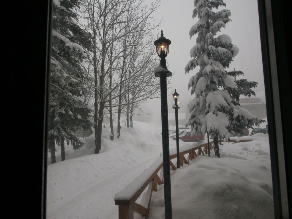 Risnjak