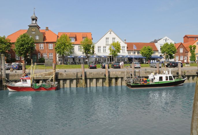 Bild 19