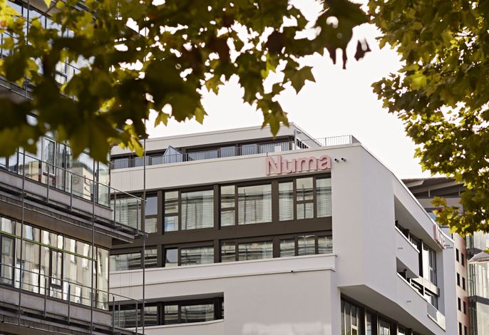 Bild 8