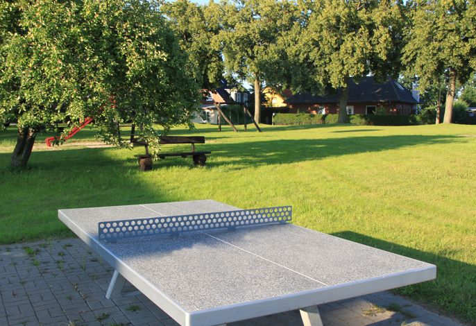 Bild 41