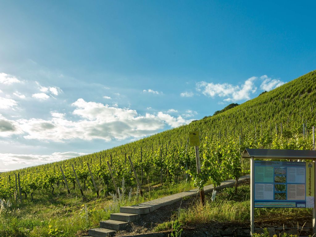 Weinhotel Ayler Kupp Nichtraucherhotel