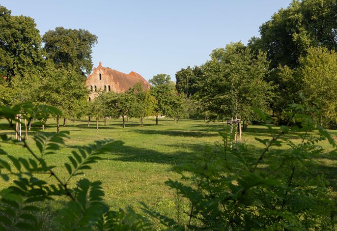 Bild 11