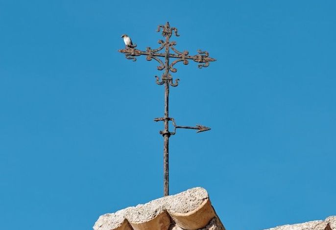 Bild 44