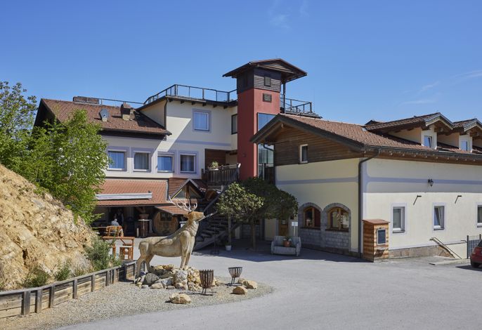 Bild 16