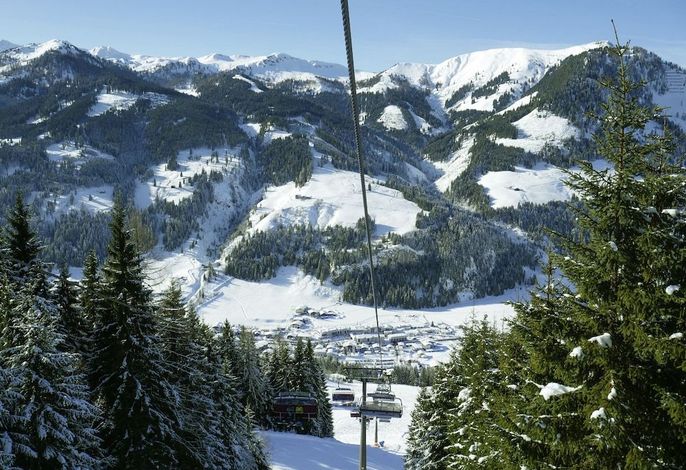 Bild 36