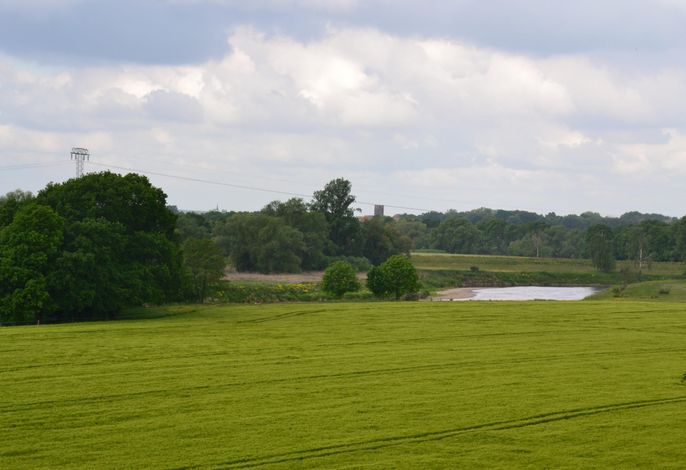 Bild 12
