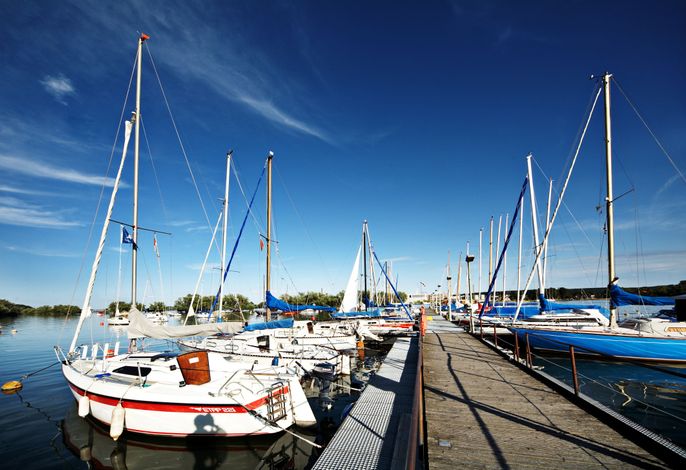 Bild 15